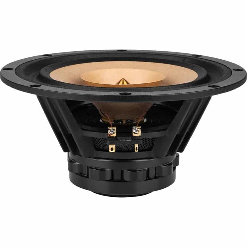 Tang Band W8-1772 8" Neodymium Full Range Driver