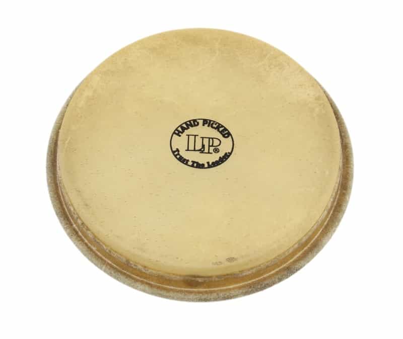 Lp Large Head For 1964 Bongos